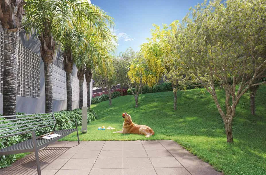 Pet place do Azzure Resort Life Osasco